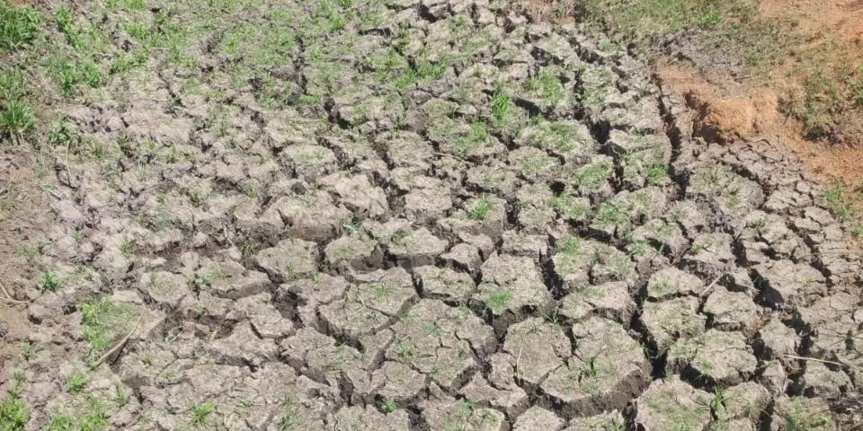 Detalhes Notícia