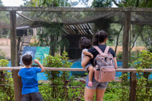 Canoas: MiniZoo é reaberto para visitação do público