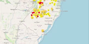 Embrapa lança plataforma de monitoramento de plantas daninhas resistentes, por Camila Pessôa/Correio do Povo