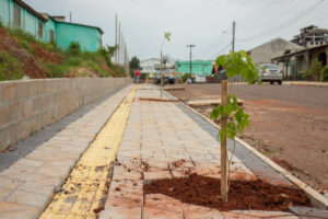 Programa de Arborização contempla novas ruas em Teutônia; Jornal do Comércio