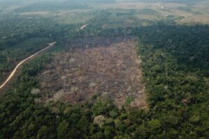 Nova lorota de Marina Silva: desmatamento na Amazônia já caiu 60%, diz ela, por Rodrigo Vilela/Diário do Poder