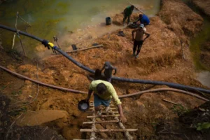 Pedido de socorro nas redes, fuga para países vizinhos, preços de voos ilegais disparados: a saga de garimpeiros para deixar TI Yanomami; O Globo