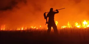 Incêndios florestais têm aumento exponencial com estiagem no RS, por Angélica Silveira/Correio do Povo