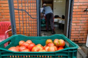 Porto Alegre: Programa de Aquisição de Alimentos estimula a agricultura familiar