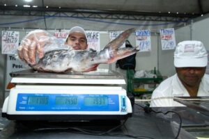 Porto Alegre: 243ª Feira do Peixe começa nesta segunda-feira