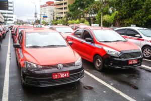 Porto Alegre: EPTC informa mudanças na solicitação da carteira de condutor do transporte público