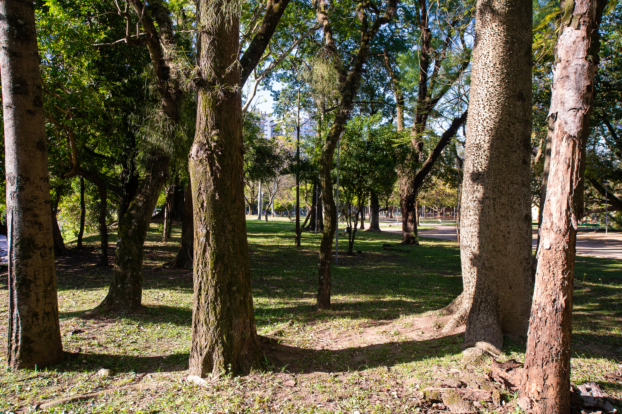 Detalhes Notícia