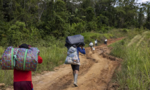 Mais de 19 mil garimpeiros deixaram área Yanomami, afirma senador