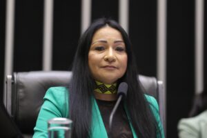 Silvia Waiãpi quer usar Fundo Amazônia para reforçar segurança na fronteira