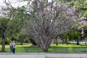 Outono no RS será marcado por poucos dias frios, aumento da chuva e afastamento do La Niña/Jornal do Comércio