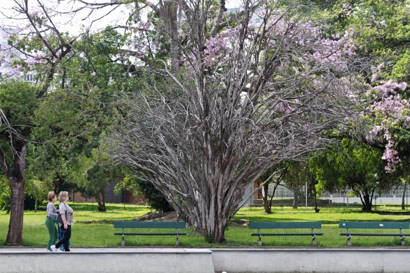 Detalhes Notícia