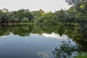 Obras no lago do Parcão terão início na sexta-feira em Porto Alegre; Jornal do Comércio