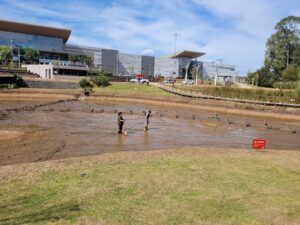 Canoas: Meio Ambiente realiza manutenção de lago do Capão do Corvo