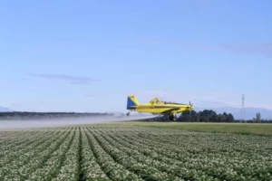 STF valida lei do Ceará que proíbe pulverização aérea de agrotóxicos, por Renato Souza/Correio do Povo