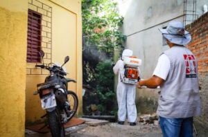 Porto Alegre registra 1.197 casos de dengue neste ano