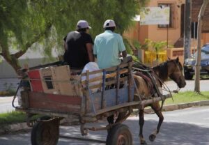 RS: Leis de Santa Cruz do Sul que regulamentavam circulação de veículos de tração animal são inconstitucionais