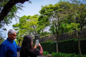 Porto Alegre será a primeira capital com gestão digital da arborização