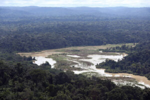 Colapso da Amazônia está mais próximo do que se pensava, aponta estudo, por Reinaldo José Lopes/Folha de São Paulo