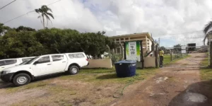 Exame descarta gripe aviária em funcionário da Estação Ecológica do Taim/Correio do Povo