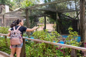 Canoas: MiniZoo reforça regras de visitação para bem-estar do animais silvestres