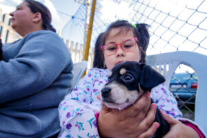 Censo inédito irá identificar a população de cães e gatos em Porto Alegre