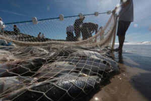 Pescadores comemoram proibição da pesca de arrasto no Rio Grande do Sul, por Luciane Medeiros/Jornal do Comércio