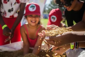 A batalha na Justiça da cidade mineira que comprou arroz orgânico do MST, por Ramiro Brites/Veja