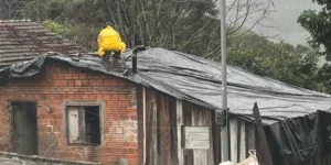 Após granizo, municípios do Rio Grande do Sul decretam situação de emergência/Correio do Povo