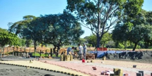 Porto Alegre: Comissão de Saúde e Meio Ambiente da Câmara pedirá interrupção de obras no Parque Harmonia/Correio do Povo