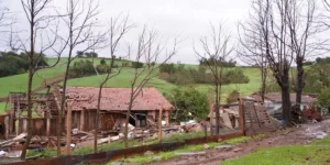 Estragos na zona rural de Nova Candelária indicam passagem de tornado, aponta Metsul/Correio o Povo