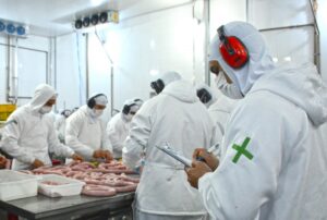 Abertura de mercado leva carne suína gaúcha para a República Dominicana