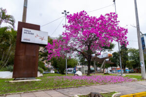 RS: Tempo fica firme a partir desta quinta-feira em Canoas