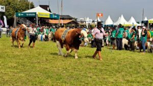 Grandes campeões exibem o melhor da Expointer