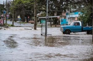 Porto Alegre: Chuvas fortes aumentam risco de contaminação por leptospirose