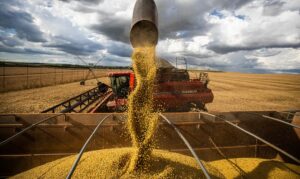 RS: Com expansão da agropecuária e indústria, PIB do RS cresce 2,3% no segundo trimestre