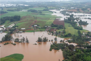 RS: Levantamento preliminar dos impactos das enchentes na produção rural mostra prejuizos em quase 11 mil propriedades