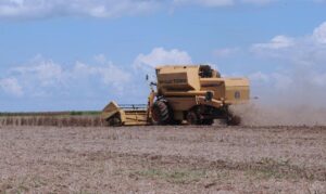 Ministro anuncia medidas de apoio aos agricultores gaúchos. Governo Federal estuda disponibilização de linha de crédito em dólar via BNDES