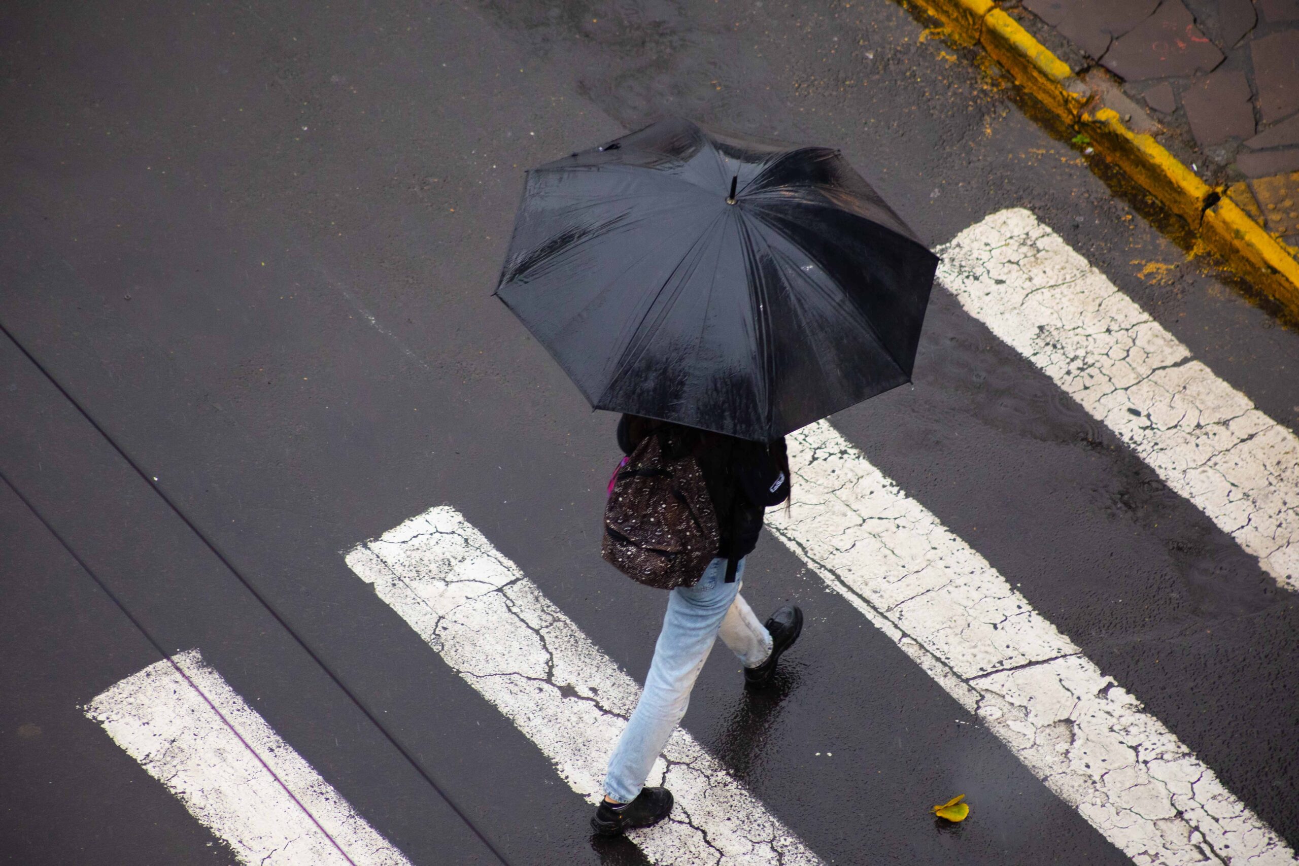 Detalhes Notícia