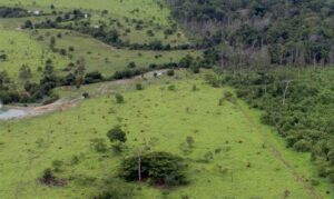 Termina na sexta entrega da Declaração do Imposto Territorial Rural