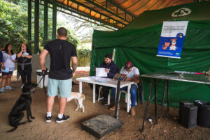 Porto Alegre: Prefeitura abre novo cadastro para castração gratuita de animais