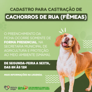 RS: Prefeitura de Butiá abre cadastro para castração gratuita de cães fêmeas