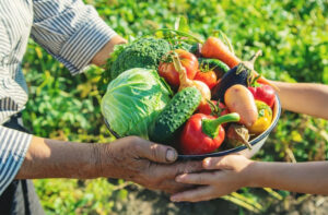 Agricultores familiares contam com mais R$ 250 milhões para Programa de Aquisição de Alimentos