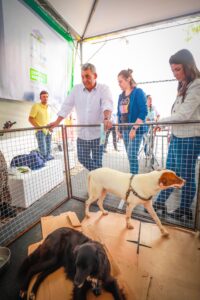 Porto Alegre: Animais para adoção são destaque no estande da prefeitura na Feira do Livro