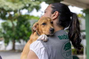 Cães e gatos ainda aguardam por um novo lar em Canoas