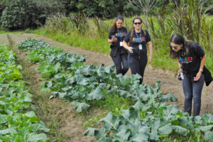 Porto Alegre: Unidade de Alimentação Escolar faz visita técnica a propriedades rurais da Zona Sul