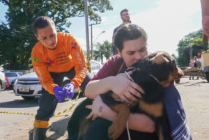RS: Voluntários de resgate ou de abrigos de animais devem se prevenir contra a raiva