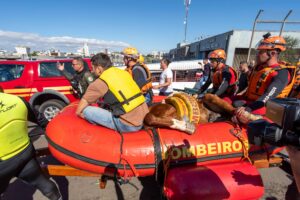 Canoas: Cavalo Caramelo Valente é resgatado de telhado no bairro Mathias Velho