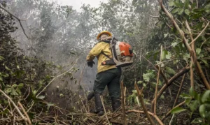 Ibama multa fazendeiros em R$ 100 milhões por incêndio no Pantanal Fogo. consumiu uma área de 333 mil hectares