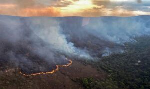 Incêndio queima 10 mil hectares do Parque da Chapada dos Veadeiros. Parque Nacional e reservas privadas têm focos em Alto Paraíso de Goiás