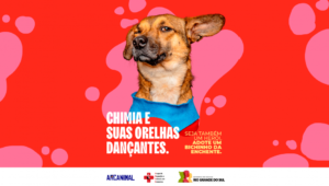 RS: Nova fase da campanha para adoção de animais atingidos pela enchente amplia canais de divulgação